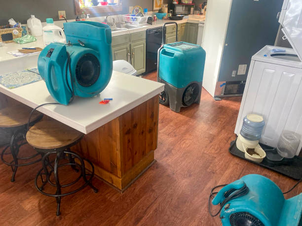Best Residential water damage restoration  in Lakewood, WA