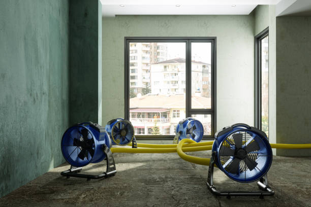 Best Carpet water damage restoration  in Lakewood, WA