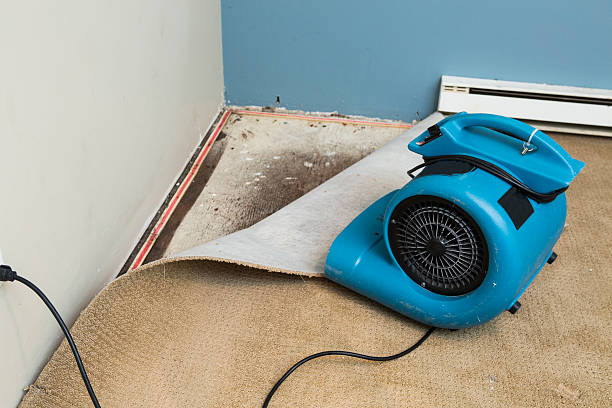 Best Flood damage cleanup  in Lakewood, WA